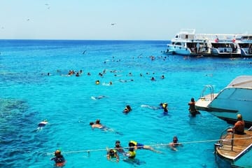 Full day Marsa Mubarak Snorkel trip with lunch from Marsa Alam