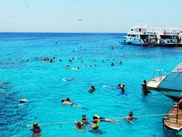 Full Day Snorkeling Trip to Marsa Mubarak from Marsa Alam