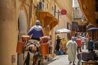 Marrakech City Tour and Majorelle Garden by car - Half Day - private tour 9