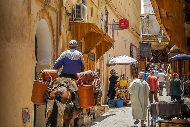 Marrakech City Tour and Majorelle Garden by car - Half Day - private tour 9