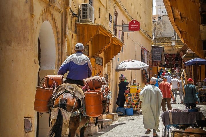 Marrakech City Tour and Majorelle Garden by car - Half Day - private tour 9
