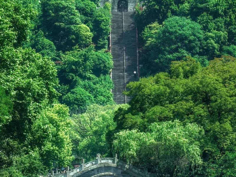 Suzhou: Haining Blueberry Picking & Water Town Private Trip