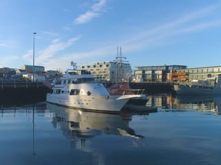 New Year's Eve Reykjavík Cruise, photo 12