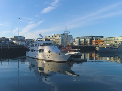 New Year's Eve Reykjavík Cruise, photo 12