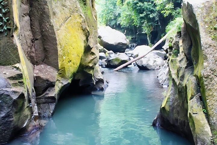 Discover Nature of Bali