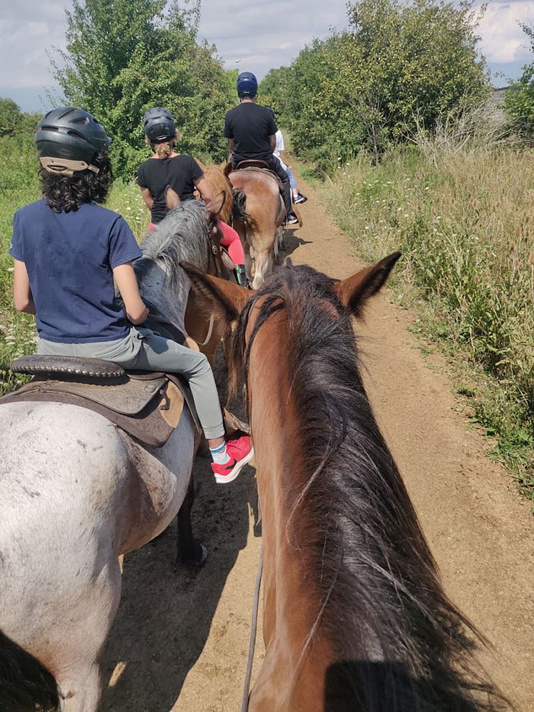 Horseback Riding and Nature Escape Tour from Toronto to Bronte Park