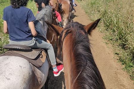 Horseback Riding and Nature Escape Tour from Toronto to Bronte Park