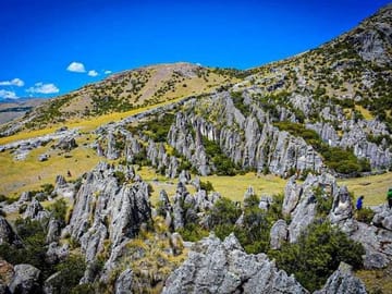 Explore the Stone Grove in Ayacucho, Peru: A Day Tour