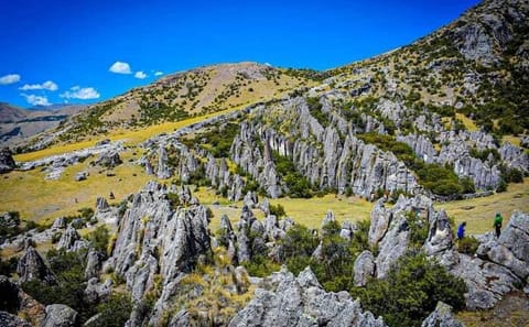 Explore the Stone Grove in Ayacucho, Peru: A Day Tour