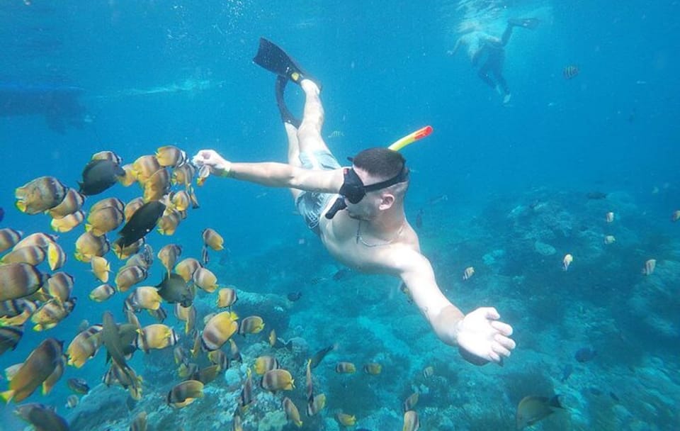 Full-Day Snorkeling Tour in Nusa Penida from Denpasar