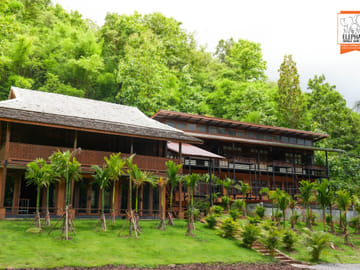 Chiang Mai Elephant Care and Conservation Volunteer Program