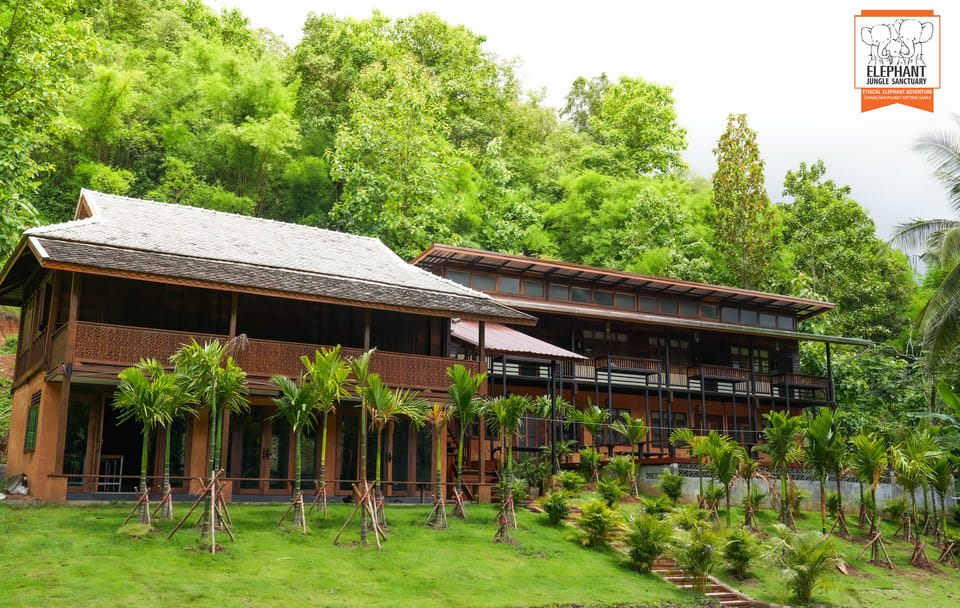 Chiang Mai Elephant Care and Conservation Volunteer Program
