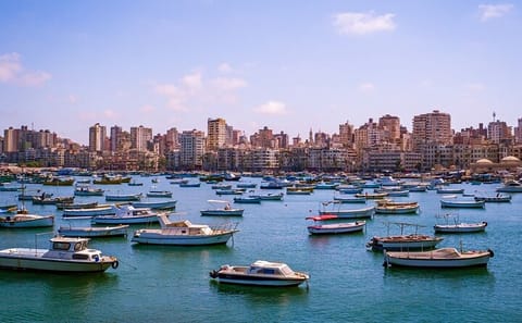 Private Historical Day Tour of Alexandria from Cairo