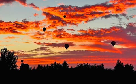 Marrakech Sunrise Hot Air Balloon & Berber Breakfast