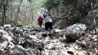 Sam Roi Yod National Park & Praya Nakhorn Cave Private Excursion 9