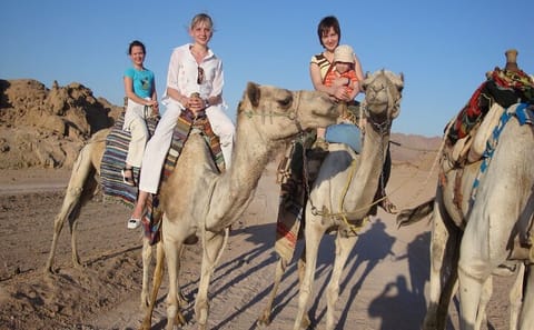Hurghada Desert Safari with ATV and Camel Ride Adventure