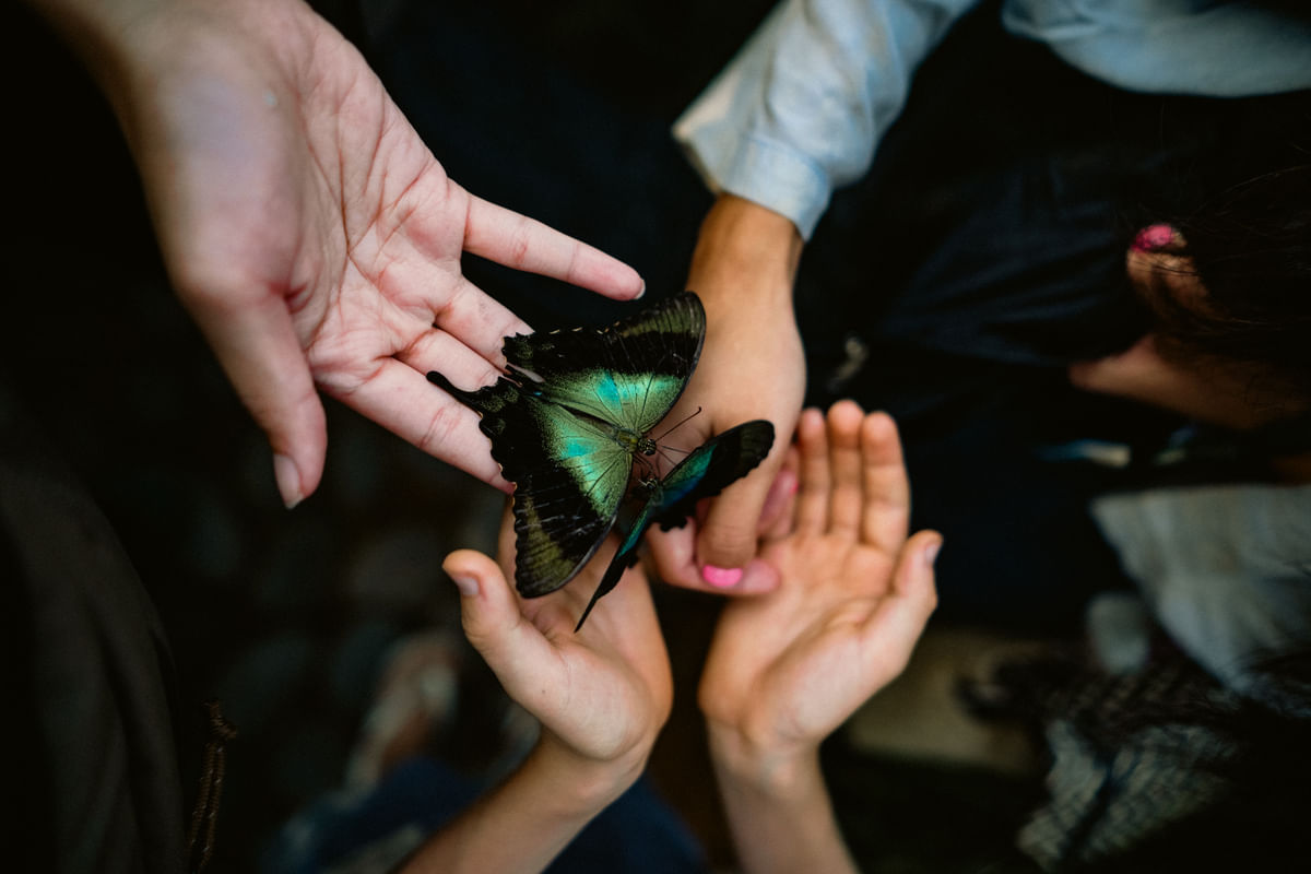 3D2N BALI ECO- ROMANTIC HIDEAWAY