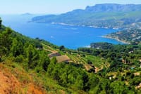 Calanques of Cassis, Aix-en-Provence & Wine Tasting Private Tour 4