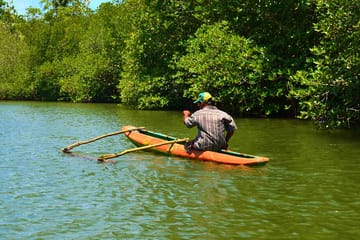 Galle Eco and Adventure Tour: Nature and Culture Experience