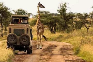 Jeep Safari Zanzibar Island 3 Day Private Tour