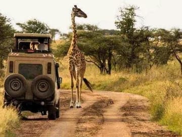 Three-Day Private Jeep Safari on Zanzibar Island