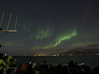 Faint green Northern Lights stretching over distant mountains and city lights at night.