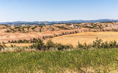 Day Trip from Rome to San Gimignano and Siena