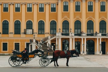 Professional Photoshoot at Schönbrunn Palace in Vienna