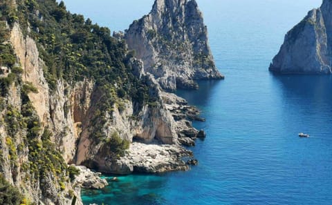 Culinary and Cultural Tour of Sorrento and Rome