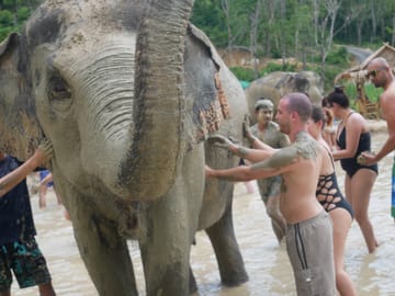From Bangkok: Pattaya Ethical Elephant Jungle  Sanctuary Day Trip