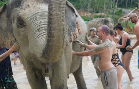 Pattaya: Ethical Elephant Sanctuary Day Trip (EJS Pattaya)