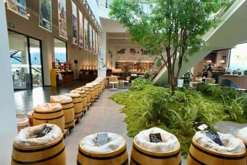 Yunnan Coffee Valley Half-Day Tour with Tastings and Insights