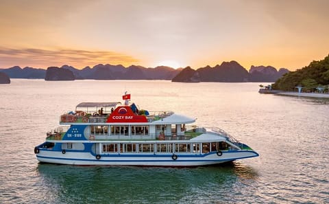 Luxury 1-Day Halong Bay Cruise with Buffet and Cave Exploration
