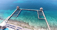 Cozumel: Dolphin Connection 4