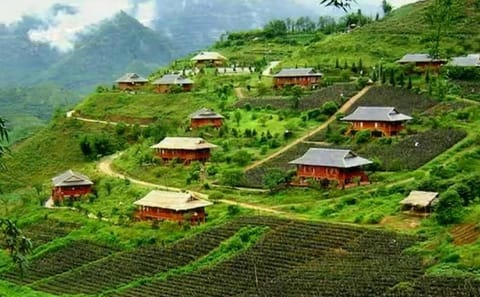 Sapa Town and Bac Ha Market Two-Day Cultural Tour