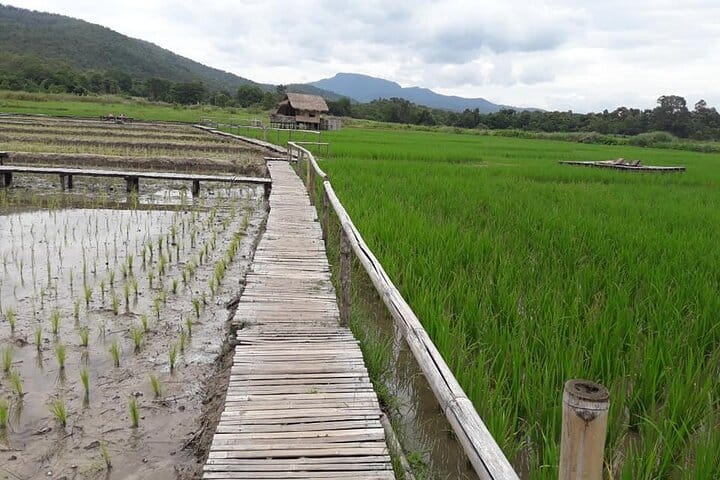 Chiang mai Suthep National Park Leisure Hiking & Mountain Biking
