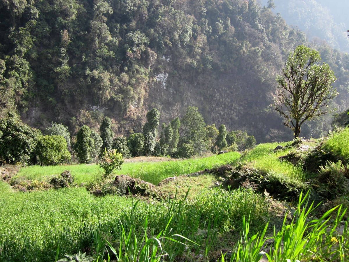 19 Days Mera Peak Climbing & Expedition – One Life-Changing Himalayan Adventure