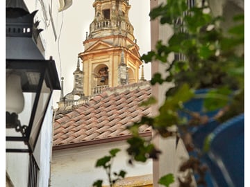 From Seville: Cordoba private day trip