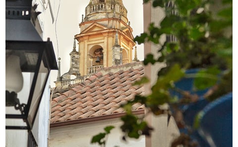 From Seville: Cordoba private day trip