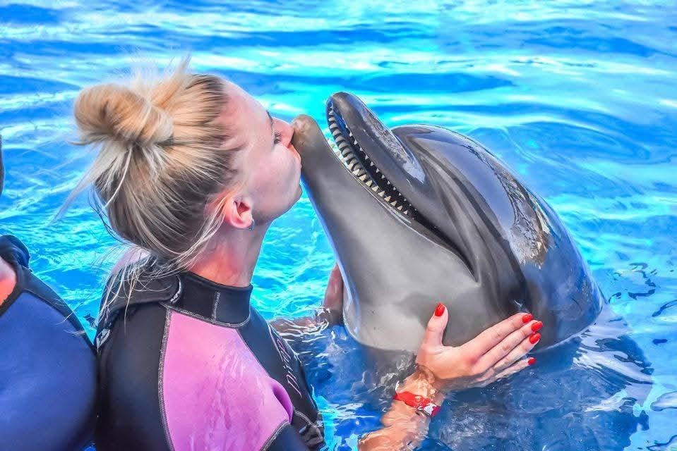 Premium 5 Minutes Dolphin Swimming Experience - Hurghada 6