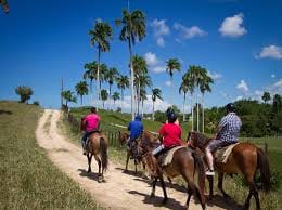 Safari of Fields - Punta Cana 5