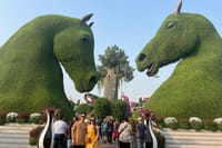 Miracle Garden & Global Village Entrance with Transportation  7