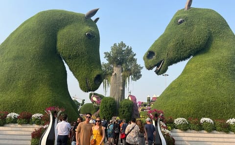 Miracle Garden and Global Village Tour with Transportation in Dubai