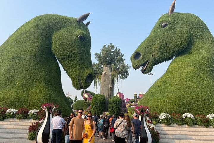 Miracle Garden & Global Village Entrance with Transportation  7