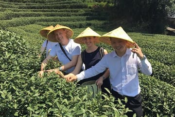 Longjing Tea Culture Experience Tour in Hangzhou