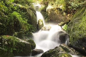Bishnu Dwar Hike in Shivapuri National Park from Kathmandu