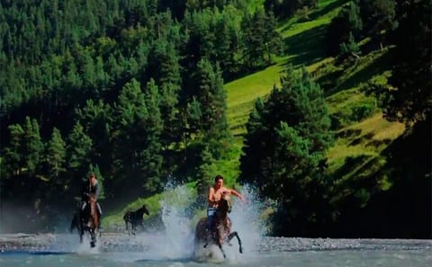 2-Day Private Nature and Walking Tour to Shatili from Tbilisi