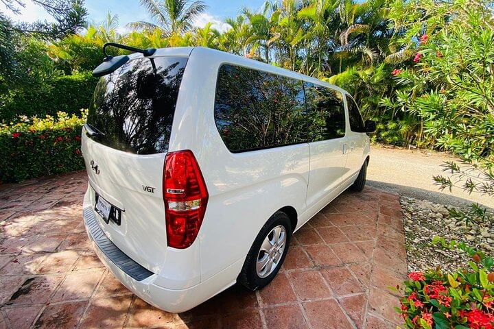 Damajagua Waterfalls and Monkey Private Van Tour