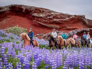 Classic Whales & Viking Horses, photo 8