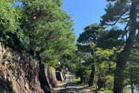Takayama & Shirakawago 3-Day Tour 9